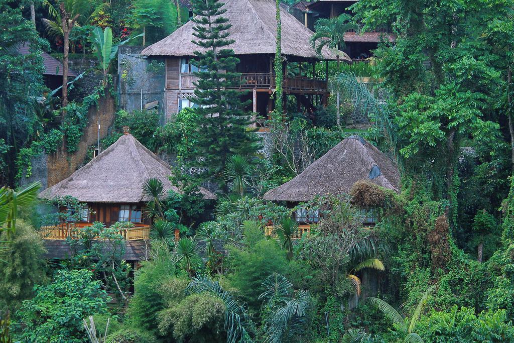 Graha Moding Villas ウブド エクステリア 写真
